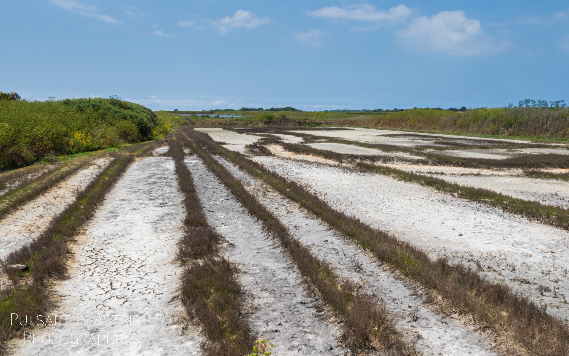 paysage de l'ile de Ré